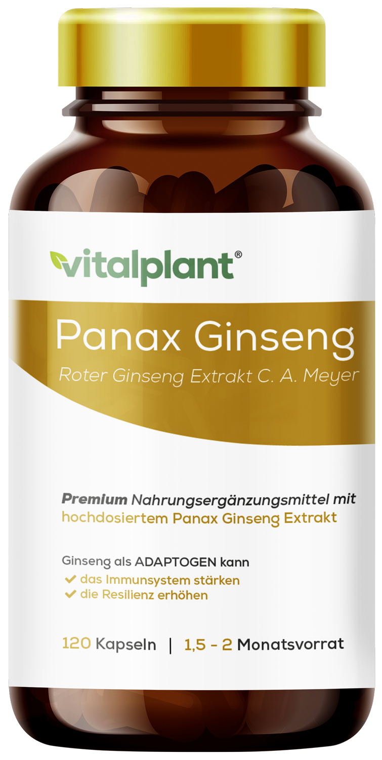 Panax Ginseng