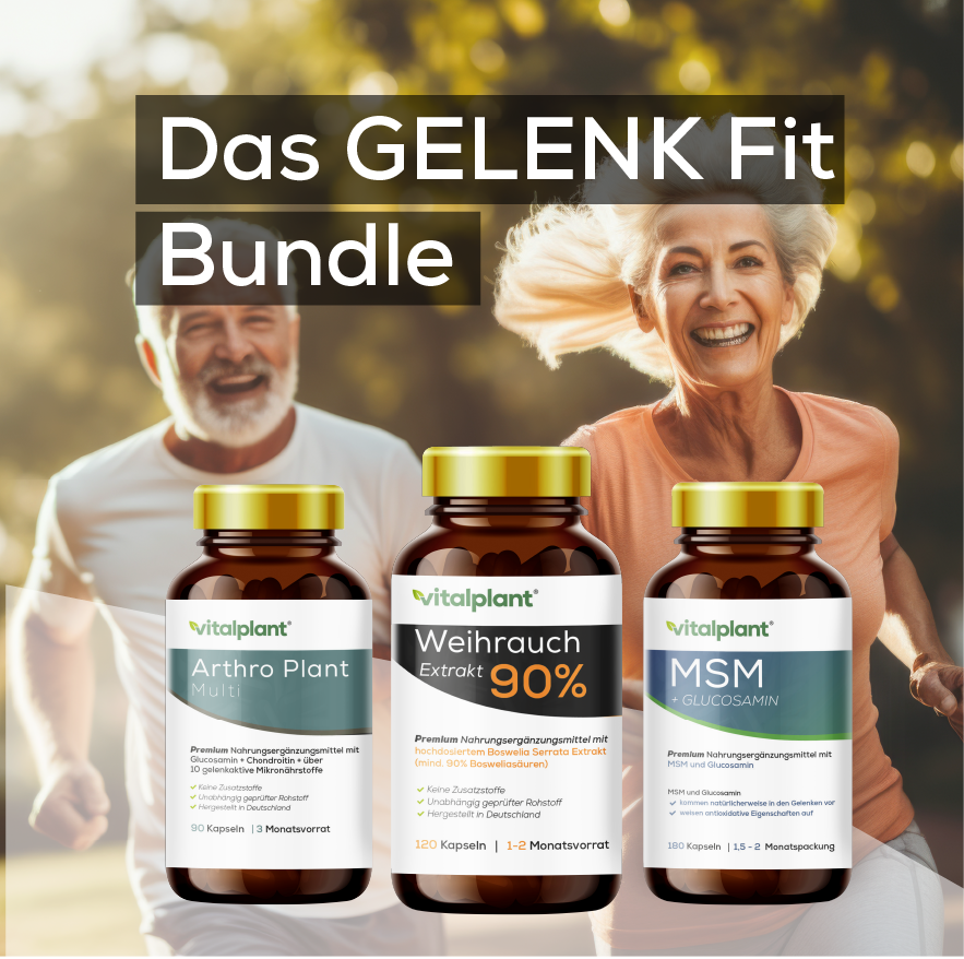Das GELENK Fit - Bundle  