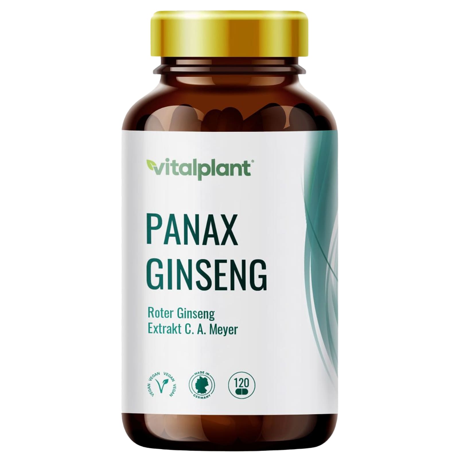 Panax Ginseng