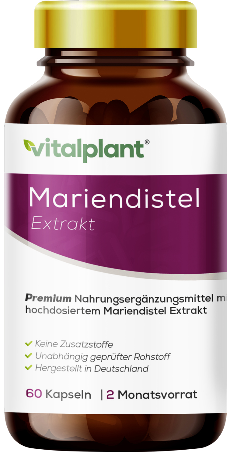 Mariendistel