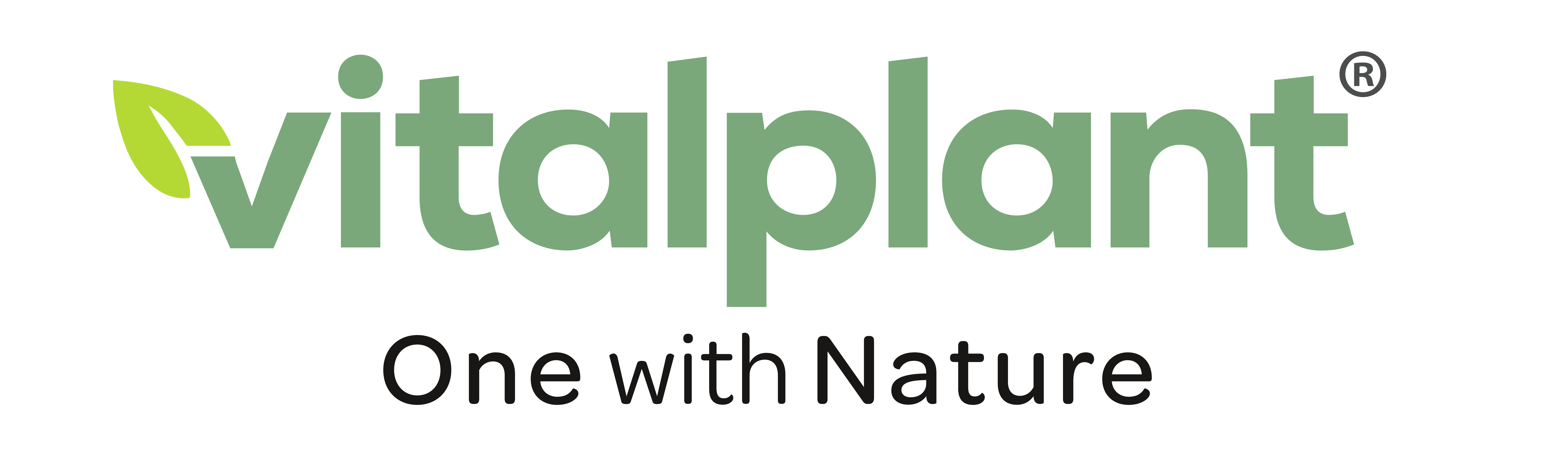 Ladeanimation für Vitalplant Shop