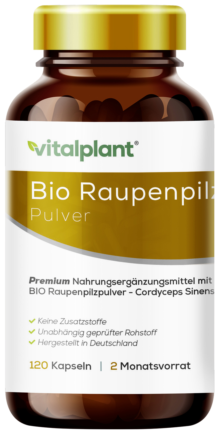 Raupenpilz